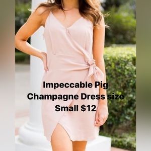 Impeccable Pig Champagne Mini Dress